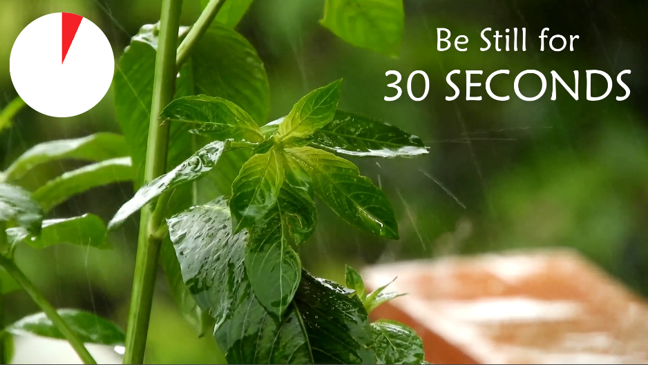 Be Still - 30 Seconds